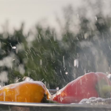 Las-Verduras-Caen-En-Un-Balde-De-Agua-En-Cámara-Lenta-1