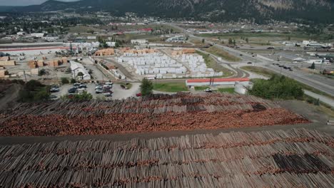 a huge sawmill with a lot of logs