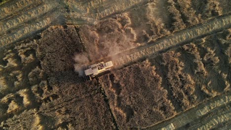 Top-view-of-a-harvester-harvesting-wheat-in-a-field-during-summer,-view-of-an-agricultural-field-in-Pakistan