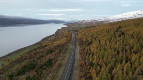 Costa-Este-De-Islandia-Durante-El-Otoño-Rodeada-De-árboles-Y-Un-Lago,-Aéreo