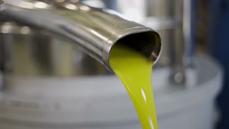 source of olive oil pressing in olive oil mills