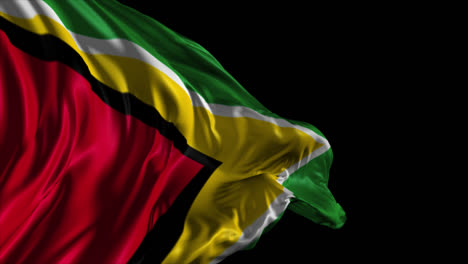 waving flag of guyana