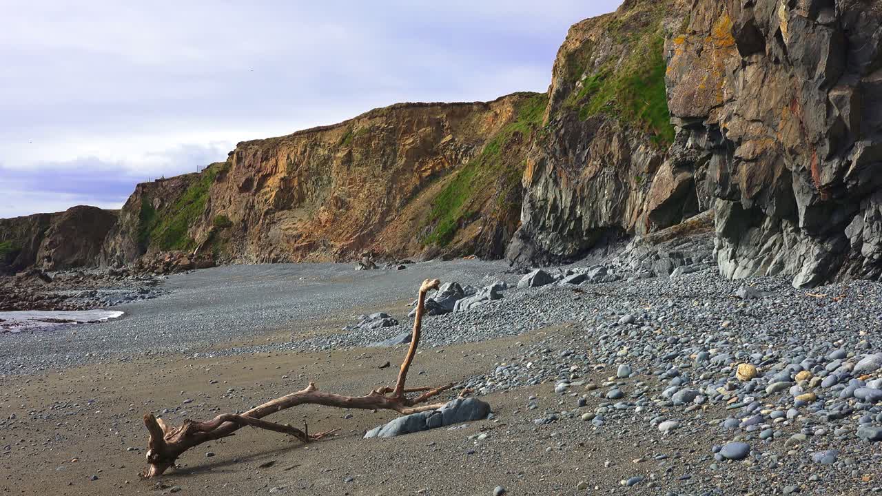 Natures beauty seascape driftwood sea cliffs and pebble beach deserted Copper Coast Waterford epic location