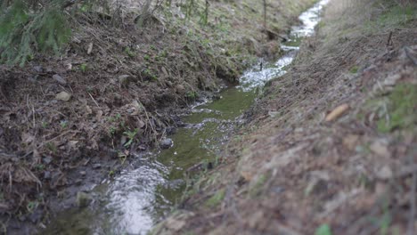 The-stream-in-the-forest-bed-is-gaining-strength