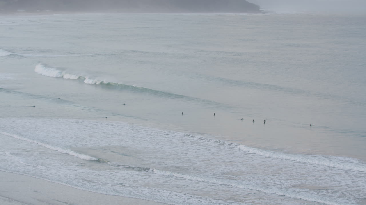한 무리의 서퍼 들 이 뉴질랜드 의 캐슬 포인트 해변 에서 파도 를 정복 하고 있다