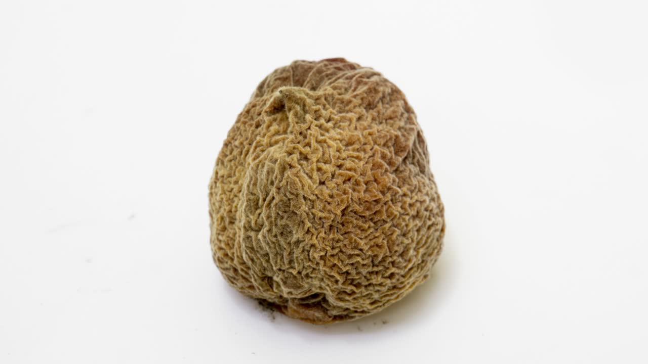 lapso de tiempo de descomposición del melocotón sobre un fondo blanco, el proceso de descomposición y descomposición, período de rodaje de 10 días. inversión de tiempo, bucle de video