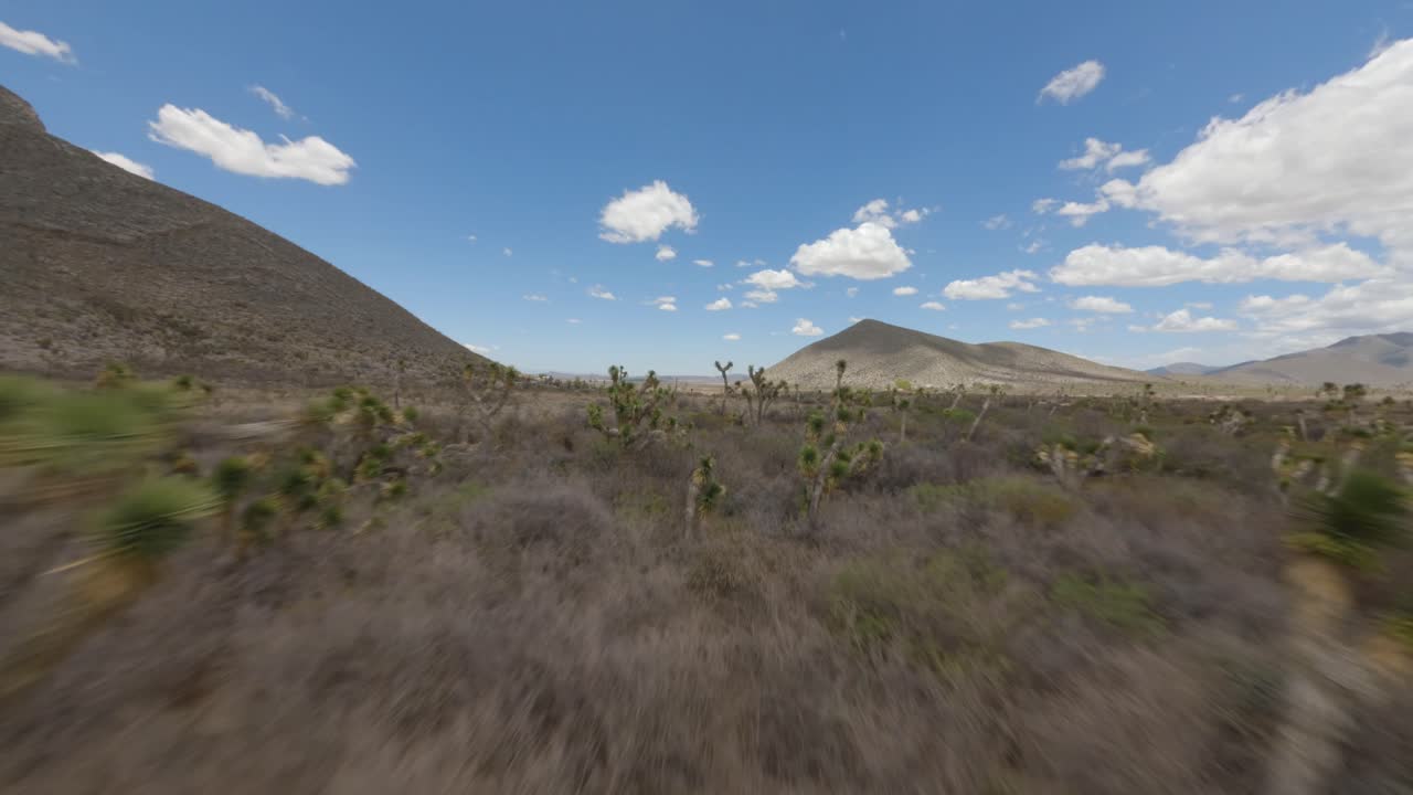 FPV DRONE SHOT OF THE DESERT AND PLANTS NEAR COAHUILA IN MEXICO
