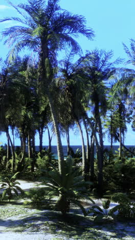 beautiful tropical beach with palm trees and blue sky