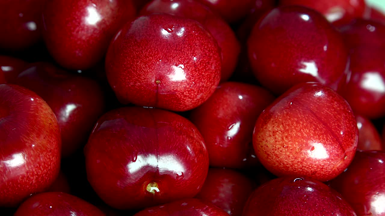 신선한, 익은, 맛있는 체리는 시계 방향으로 회전합니다.