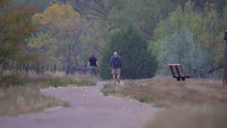 People-walking-on-a-trail-among-green-forest