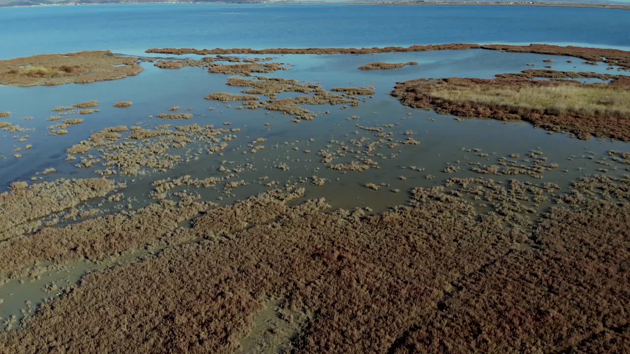 textura de pantano pantanoso con hierba marrón seca al lado de aguas tranquilas y claras de la laguna donde los pájaros construyeron nidos, vistos desde arriba