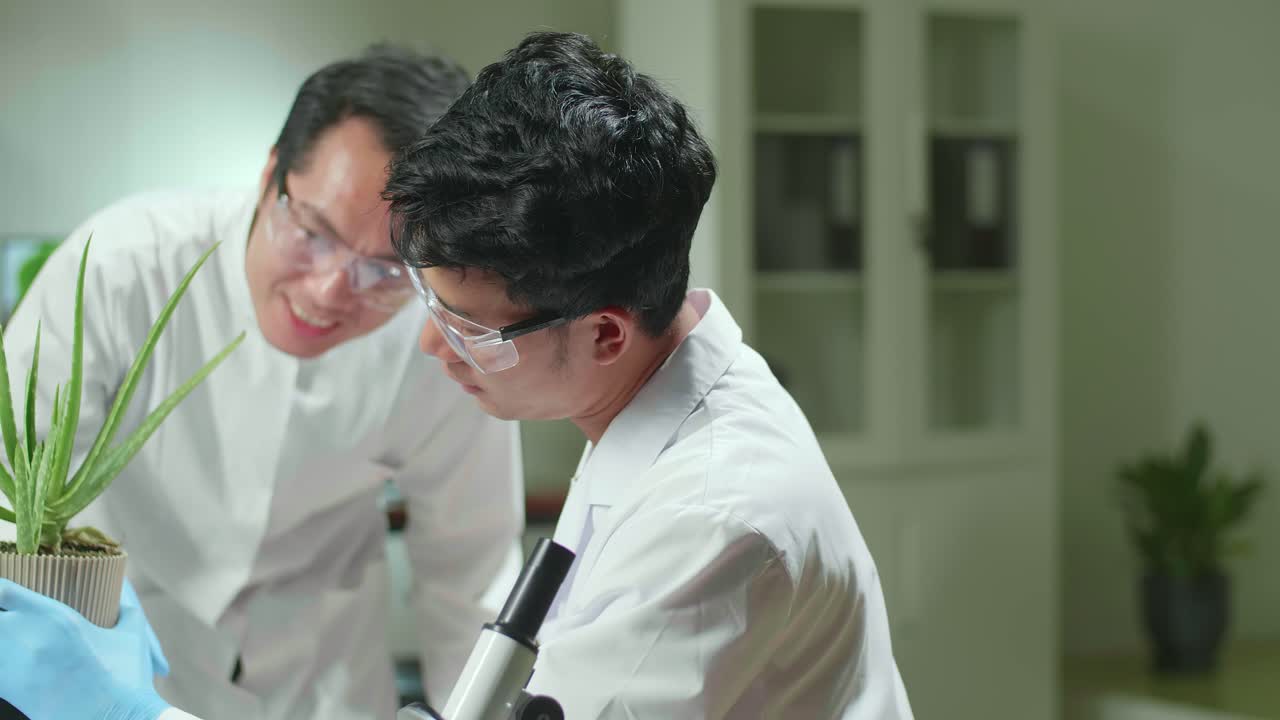 Medical Team Researchers Looking At Aloe Vera. Pharmaceuticals Scientist Working In Biochemistry Laboratory At Biological Agriculture Experiment