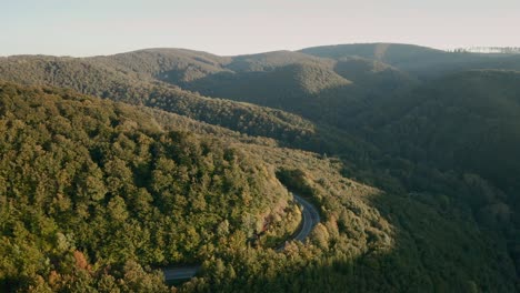 aerial tilt down drone shot of winding mountain road in the middle of a forest