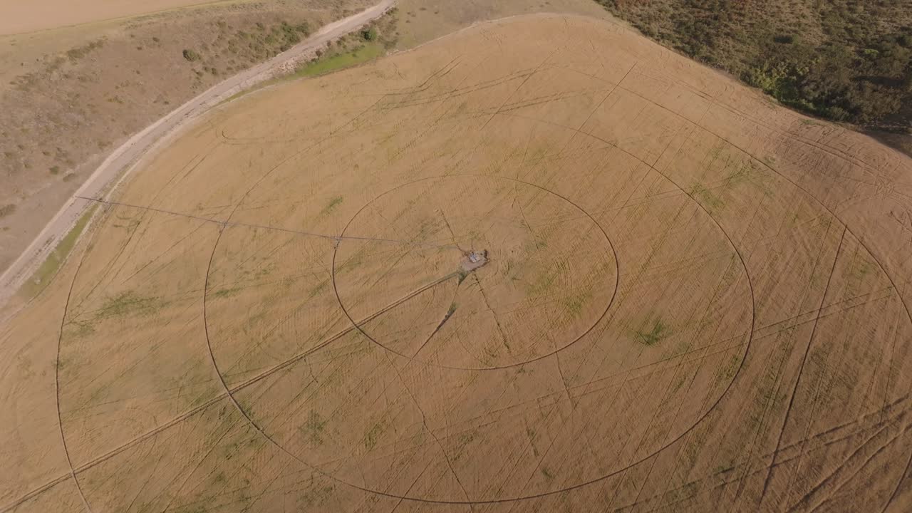 Drone shot of crop lines in a golden wheat field in Montana