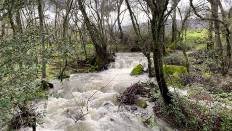 Filmen-Des-Verlaufs-Eines-Baches,-Bei-Dem-Das-Wasser-In-Form-Eines-Wasserfalls-Mit-Ziemlicher-Kraft-Herabfällt