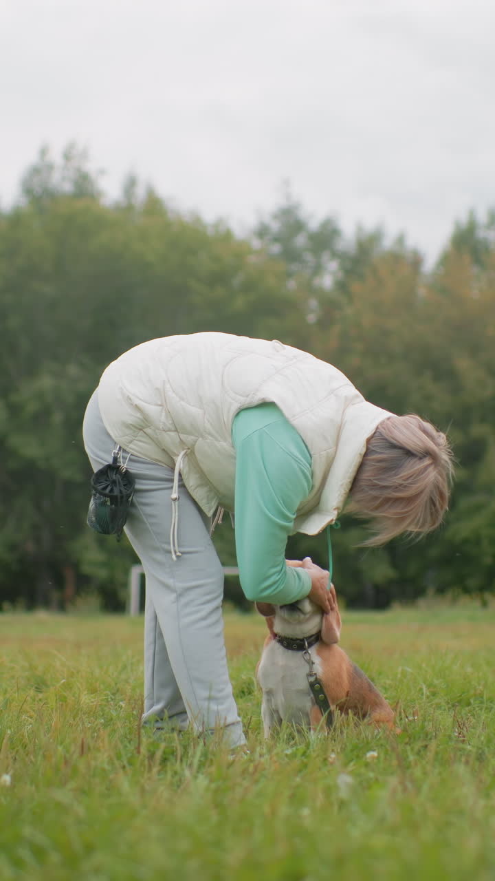 흰색 옷을 입은 여성이 풀밭에서 비글과 함께 무릎을 꿇고 앉아 인내심을 갖고 복종 훈련을 하고 있어요. 나이 지긋한 백인 여성이 간식과 수신호를 사용하고, 부드러운 흐린 조명, 초록색 나무 배경, 집중된 시선이 돋보입니다.