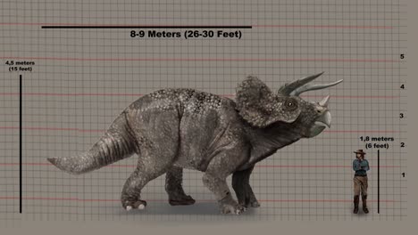 Größenvergleich-–-Triceratops-Und-Mensch-Auf-Der-Höhentabelle