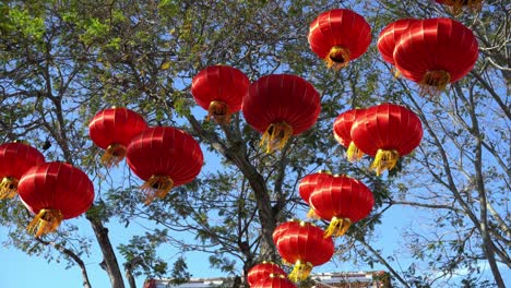 Exhibición-De-Linterna-Roja-Tradicional-China