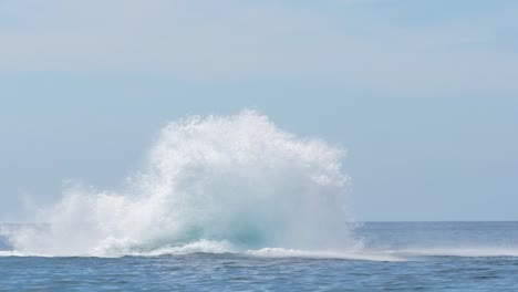 Buckelwal-Springt-Mit-Voller-Geschwindigkeit-Aus-Dem-Wasser-Und-Landet-Auf-Dem-Rücken