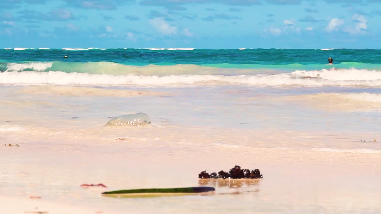 Gently Waves Caribbean white sand beach calm summer day scene cloudy blue sky refreshing swim at the sea ground level shot HD sea waste