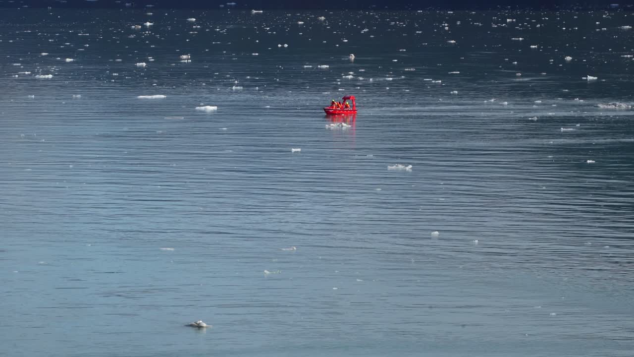 紅色船漂浮在冰川水域在冰川灣國家公園在阿拉斯加