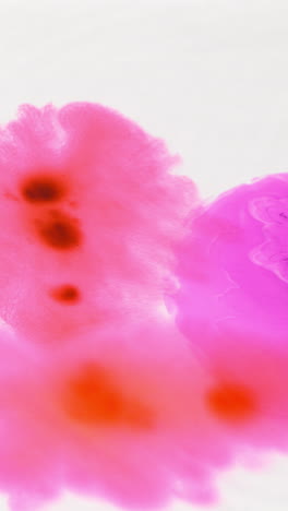 overhead vertical video shot of droplet of pink paint or dye dropped into water against white background to create swirling colourful pattern 2