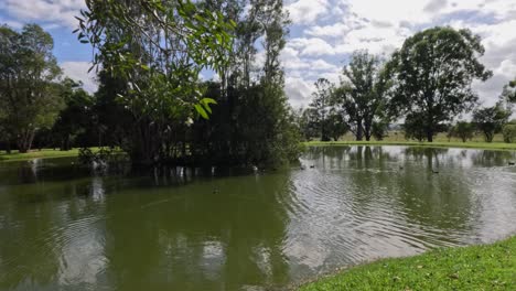 serene view of a lake surrounded by trees