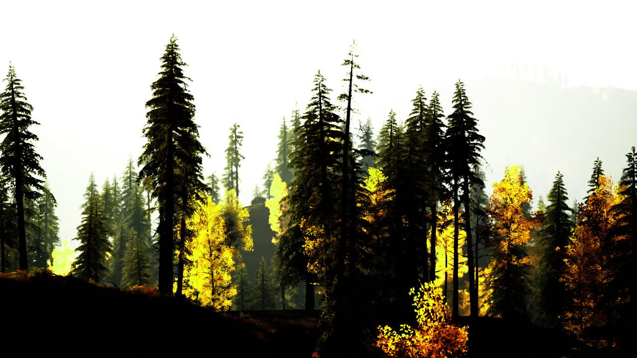 Majestic forest landscape showcasing vibrant autumn foliage in sunlight