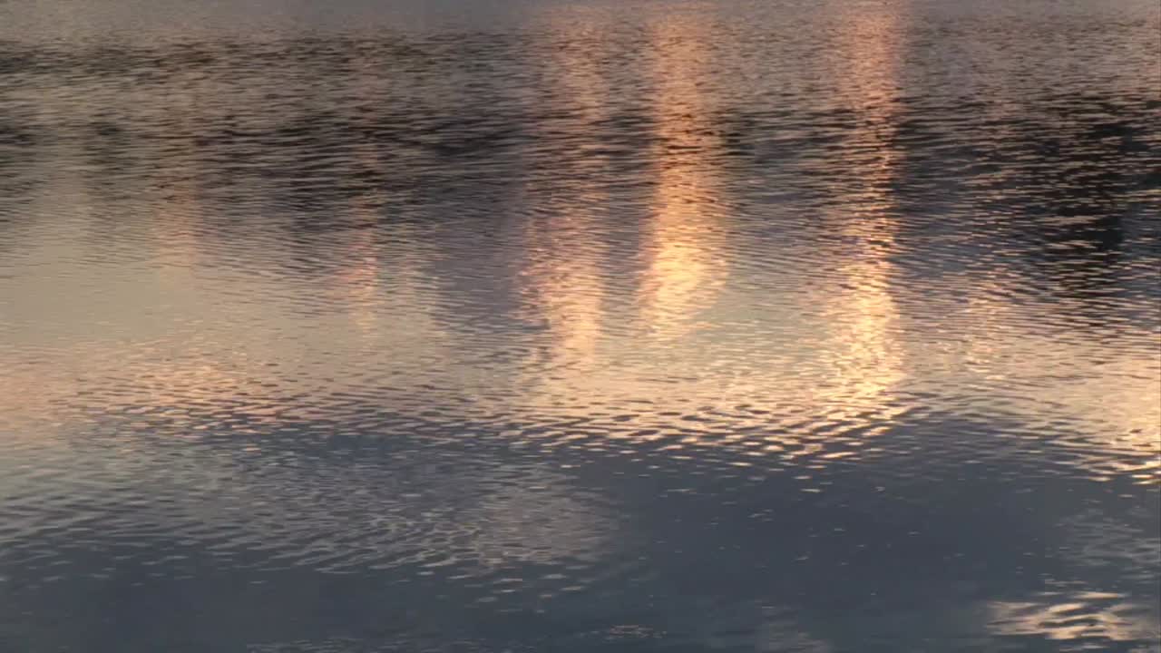 재고 영상 물- 43