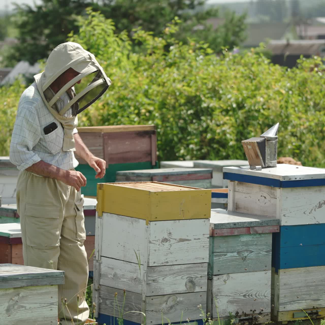 Apicoltore che costruisce l'alveare con diversi componenti. Apicoltore al lavoro nel suo allevamento di api in una giornata estiva soleggiata