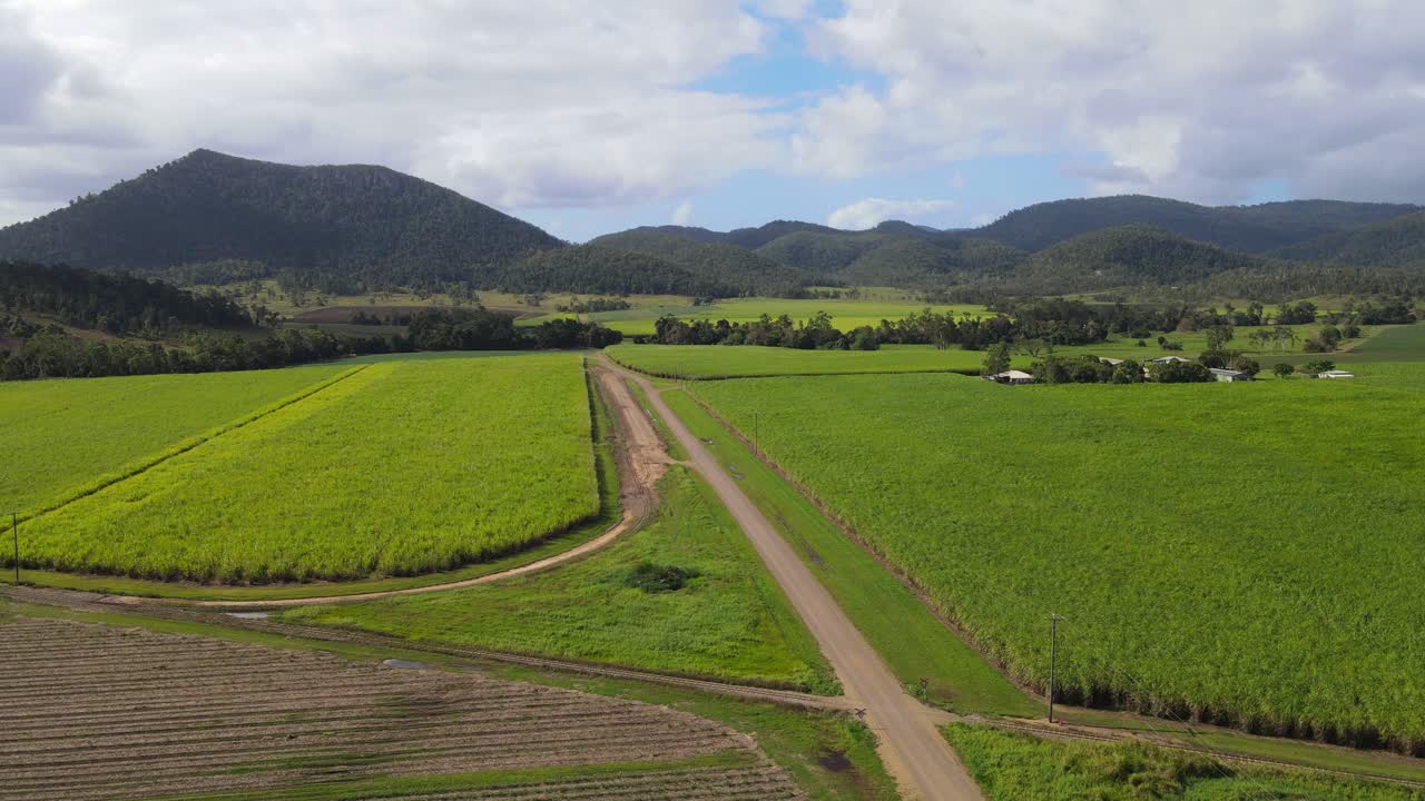 campo de caña de azúcar - exuberante plantación de caña de azúcar verde con vistas a la montaña en preston cerca de cedar creek en queensland, australia