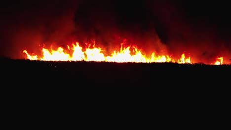 Burning-cane-field-in-Ameca,-Jalisco.-Mexico