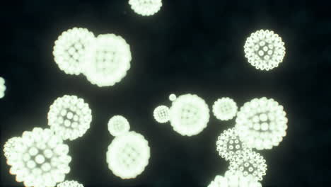 virus bajo la vista microscópica para la educación