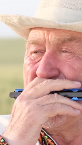a lonely talented elderly man in ukrainian national clothes plays the harmonica a lonely talented elderly man in ukrainian national clothes plays the mouth organ harmonica sits in the middle of the field grandfather in an embroidered shirt