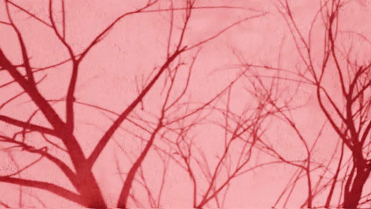 텍스처 된 빨간 벽에 나무 가지 그림자