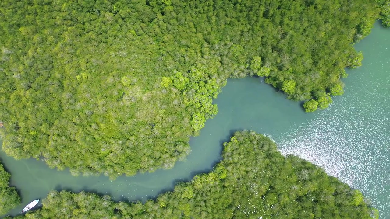 Top down aerial view of mangrove forest with winding river channel and boats on Koh Jum in Krabi Thailand. Tropical coastal ecosystem with lush green vegetation flowing water and natural patterns.