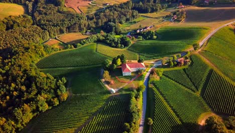 stunning aerial 4k drone footage of prlekija filmed in summer