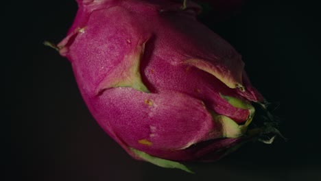 dragon fruit close-up spinning on a plate with a dark background