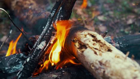 Hoguera-En-El-Bosque.-Brasas-Y-Troncos-Carbonizados-En-Fuego-Ardiente