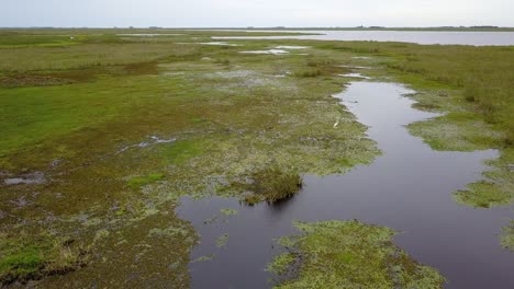 wetlands of northeast argentina shooted with drone