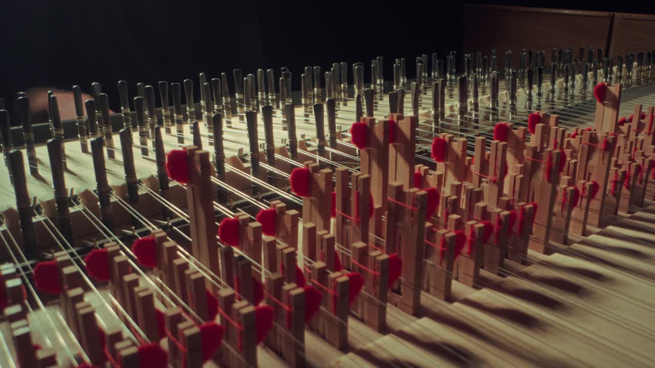 피아노 사운드 바디, 카메라가 앞으로 왼쪽으로 움직이고, 느린 동작, 어두운, 노란 나무