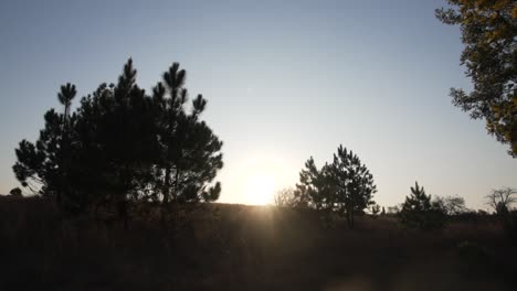 South-African-savannah-landscape-with-sunlight-glimmering-over-hill