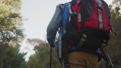 active senior hiking in forest