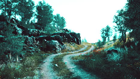 country road in a deciduous forest on a foggy morning