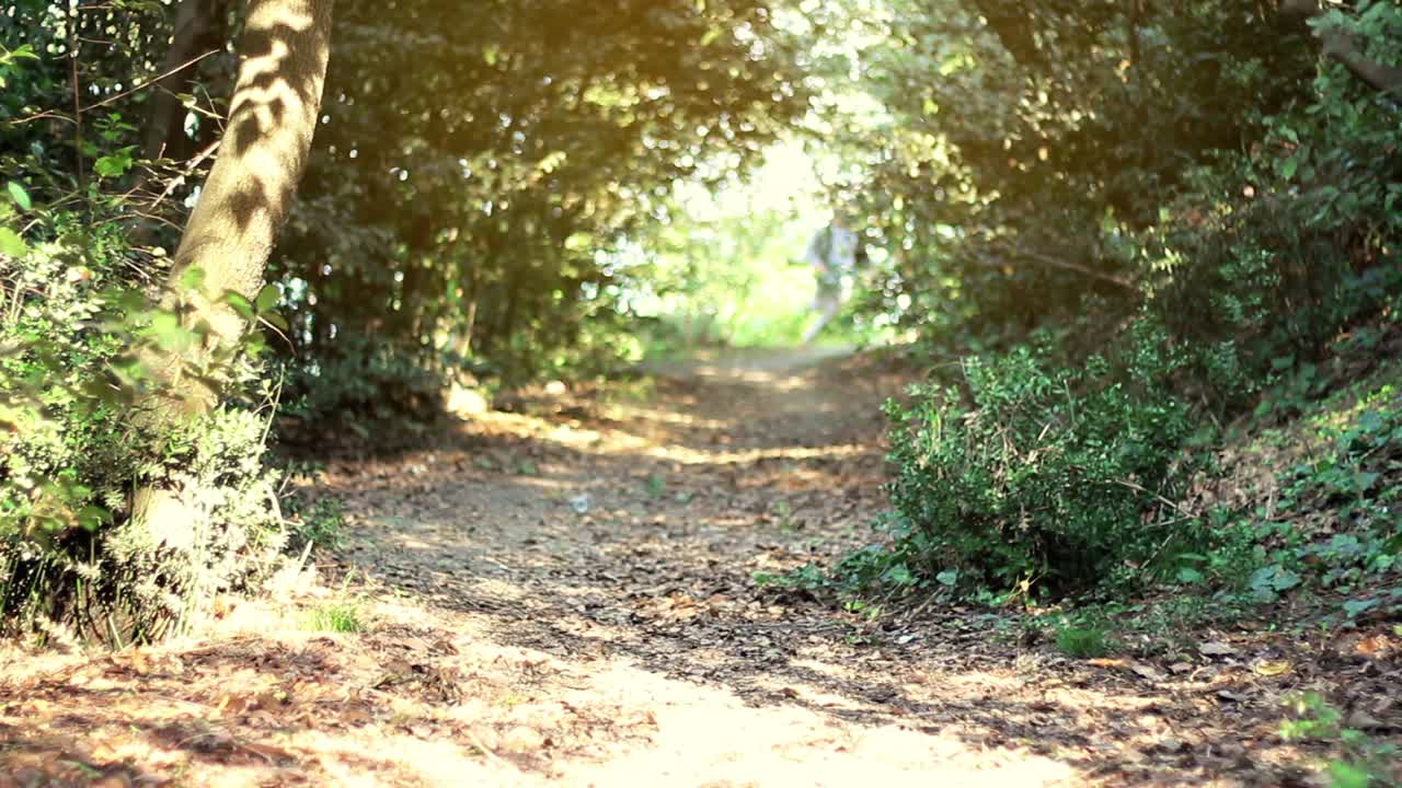 숲에서 범죄로 인해 탈출 한 남자