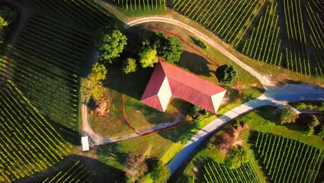 Stunning-aerial-4K-drone-footage-of-Prlekija-filmed-in-summer