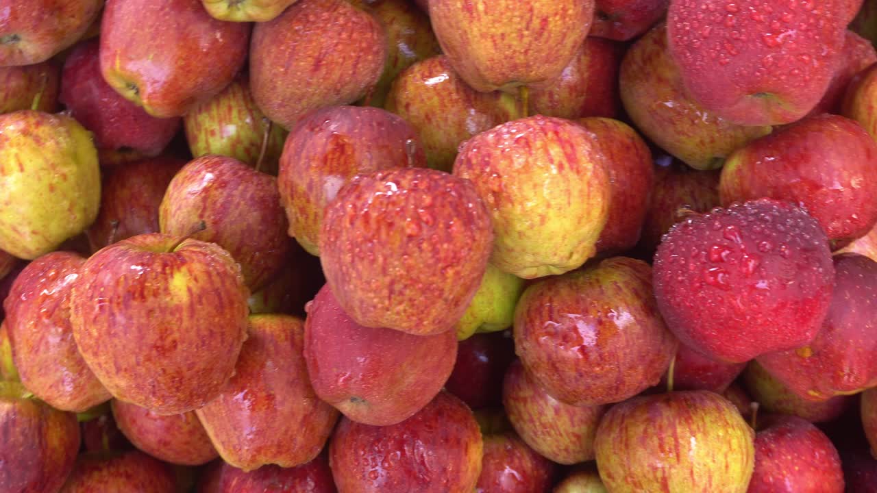 사과에 있는 식물 화학 물질의 존재로 인해 인체에서 특히 중요해졌습니다.