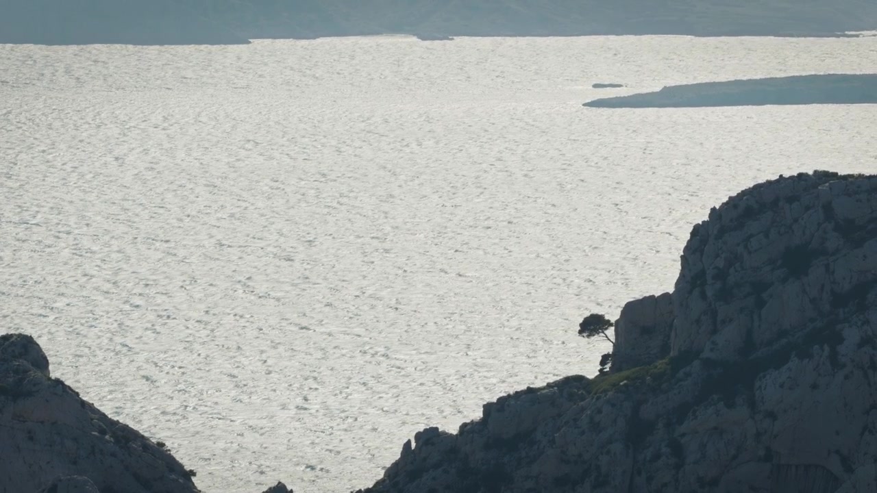 Kayalık kıyı manzarasının silueti ve kayadan eğik bir şekilde büyüyen tek bir ağaç. Arka planda, dalgalarla kırışmış su, güneşin parıltısıyla birlikte görünüyor.