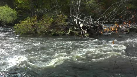 the blackstone river, near providence, rhode island