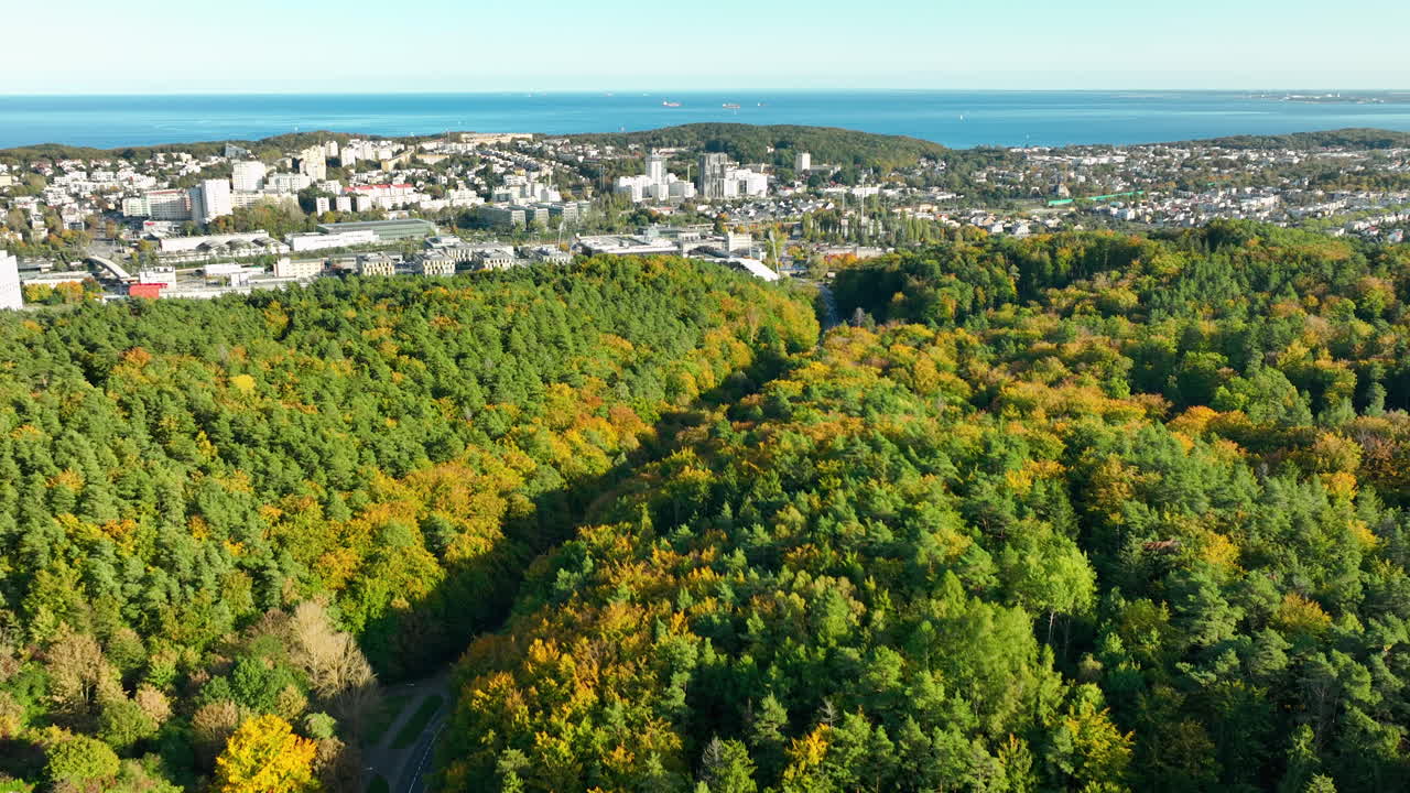 Panoramic aerial view of a green forest extending to a city and coastline in the distance